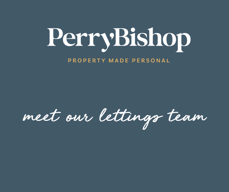 Meet our Lettings Team:  Supporting Landlords & Tenants alike